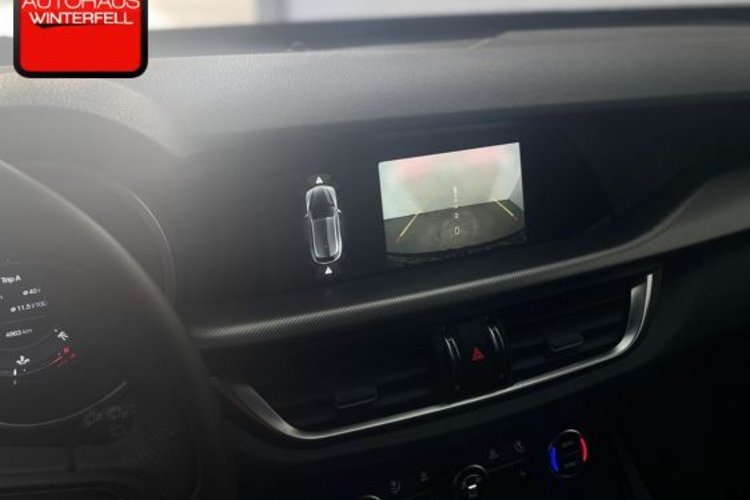 Alfa Romeo Stelvio Stelvio 2.0 Turbo Veloce Q4 ROSSO+SPECIALE+AHK+