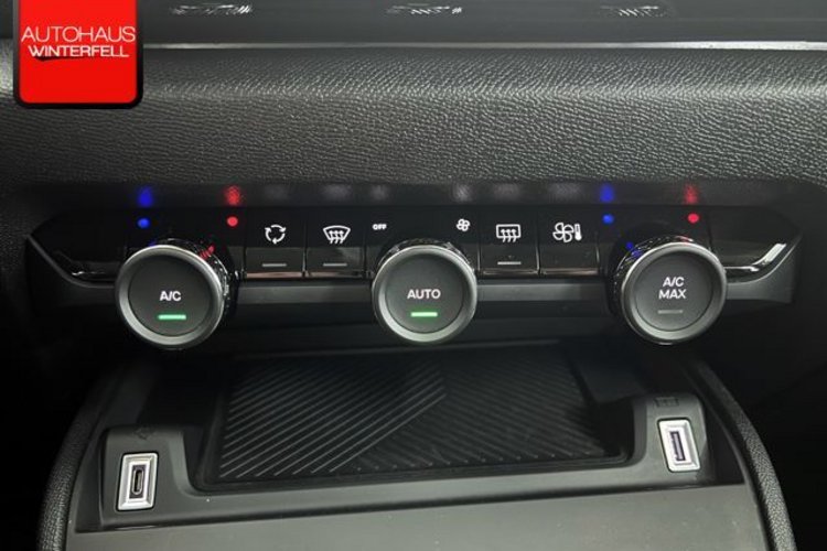 Citroën C4 C4 Hybrid 100 ë-DSC6 YOU KAMERA+NAVI+CARPLAY+DAB