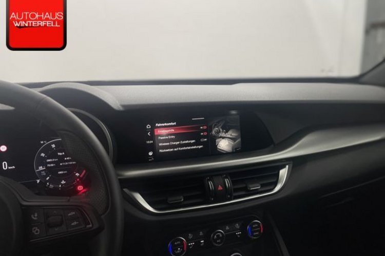 Alfa Romeo Stelvio Stelvio 2.0 Turbo Veloce Q4 ROSSO+SPECIALE+AHK+