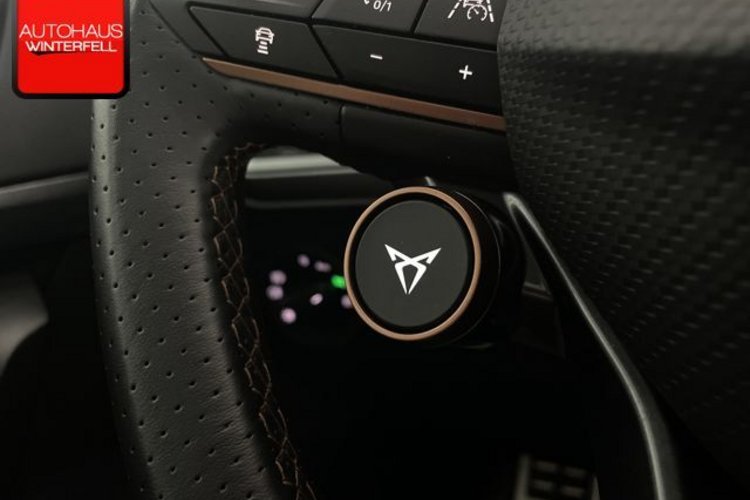 Cupra Ateca Ateca 2.0 TSI 4DRIVE PANO+AKRAPOVIC+AHK+BEATS+