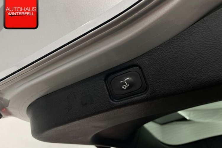 Ford Galaxy Galaxy 2.0 Titanium 7SITZ+PANO+AHK+MEMORY+KAMERA