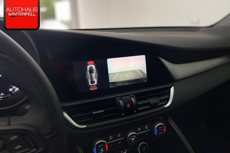 Alfa Romeo Giulia Giulia 2.0 Turbo Veloce Q4 SPECIALE+PANO+MEMO+AC