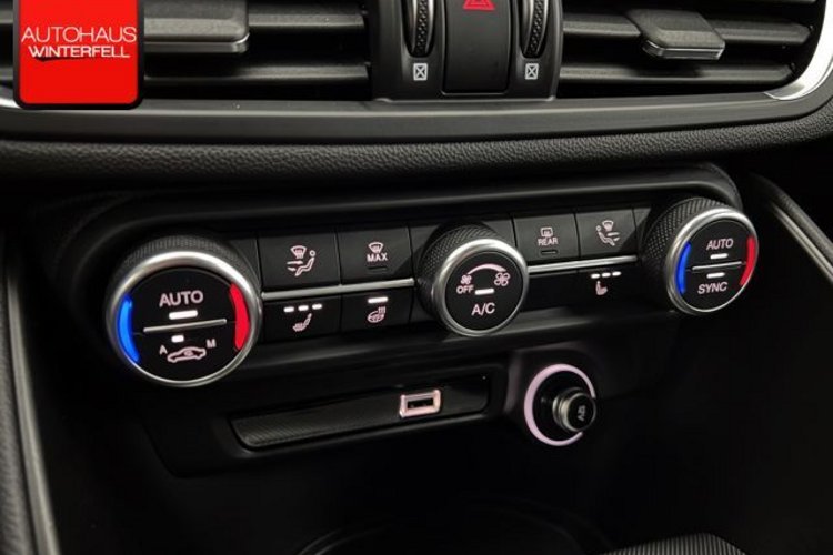 Alfa Romeo Giulia Giulia 2.0 Turbo Veloce Q4 SPECIALE+MEMO+ACC+