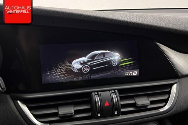 Alfa Romeo Giulia Giulia 2.0 Turbo Veloce Q4 SPECIALE+MEMO+ACC+