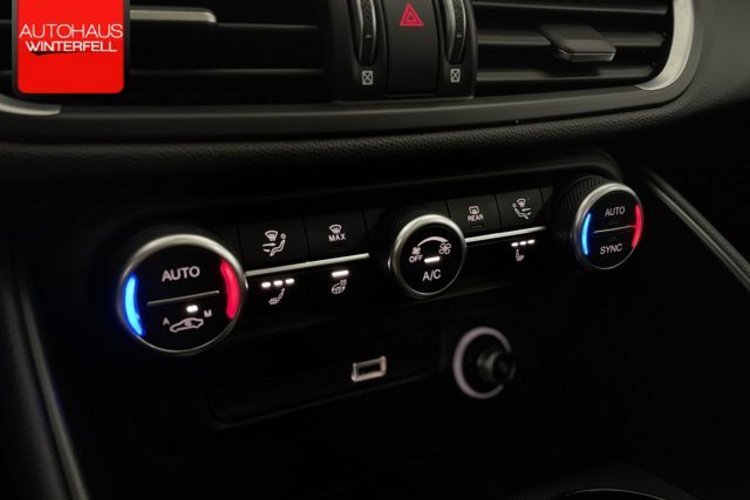 Alfa Romeo Giulia Giulia 2.0 Turbo Veloce Q4 SPECIALE+PANO+MEMO+AC