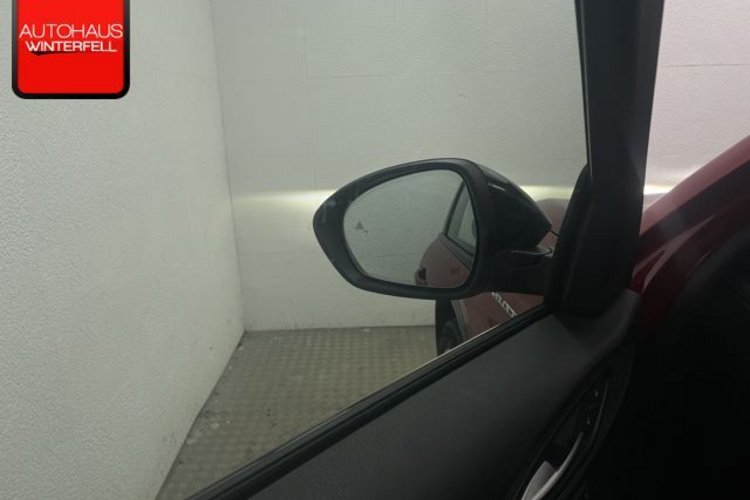 Alfa Romeo Stelvio Stelvio 2.0 Turbo Veloce Q4 ROSSO+SPECIALE+AHK+