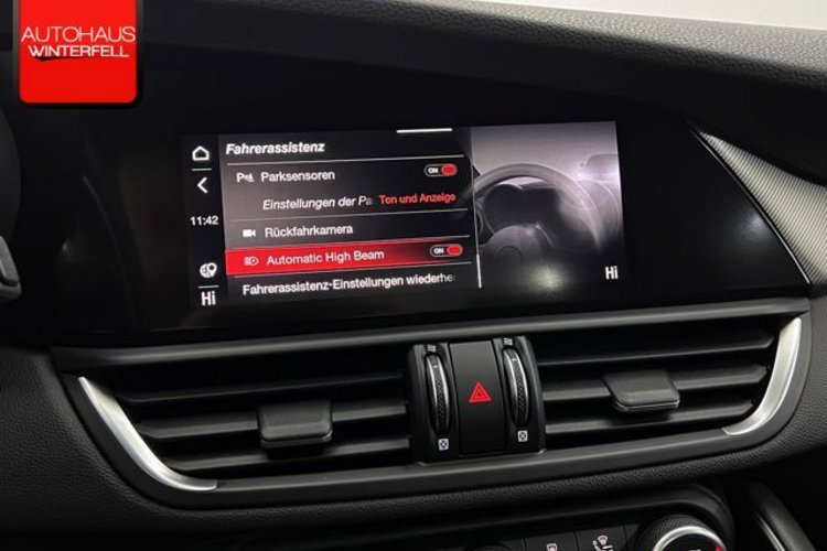 Alfa Romeo Giulia Giulia 2.0 Turbo Veloce Q4 SPECIALE+MEMO+ACC+