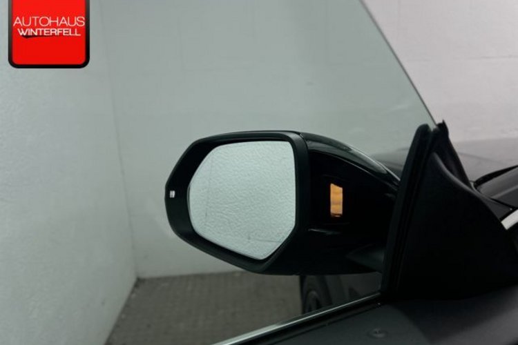 Audi Q8 Q8 55 TFSI qu S line PANO+AHK+STANDHZG+AIR-SPORT
