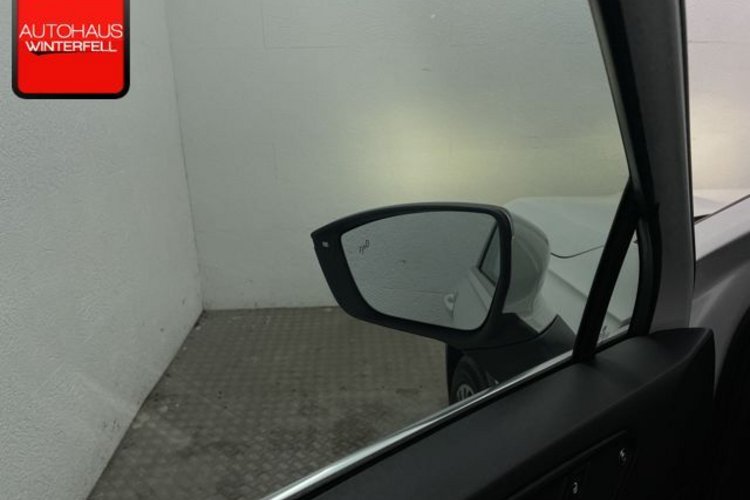 Seat Tarraco Tarraco 2.0 TDI 4Drive Xcellence 7SITZ+DCC+BEATS