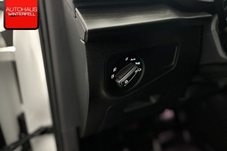 Seat Tarraco Tarraco 2.0 TDI 4Drive Xcellence 7SITZ+DCC+BEATS