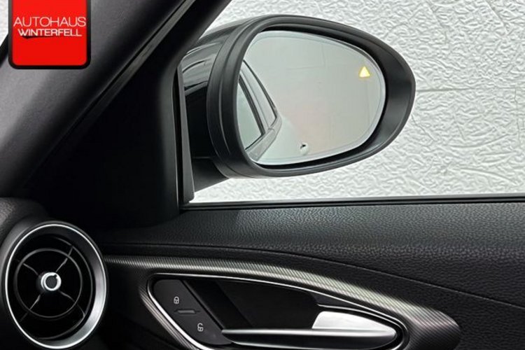 Alfa Romeo Giulia Giulia 2.0 Turbo Veloce Q4 SPECIALE+MEMO+ACC+