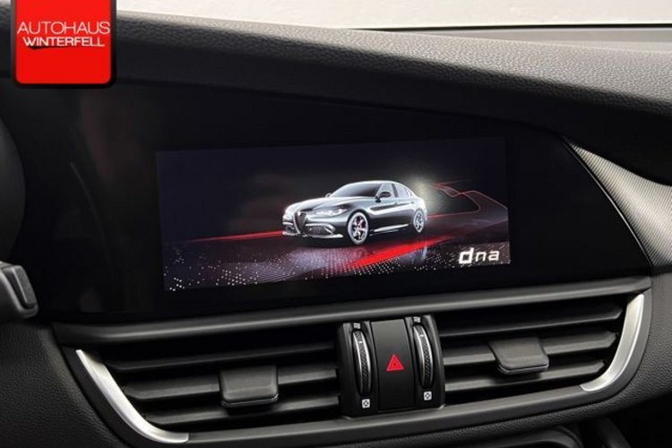 Alfa Romeo Giulia Giulia 2.0 Turbo Veloce Q4 SPECIALE+MEMO+ACC+