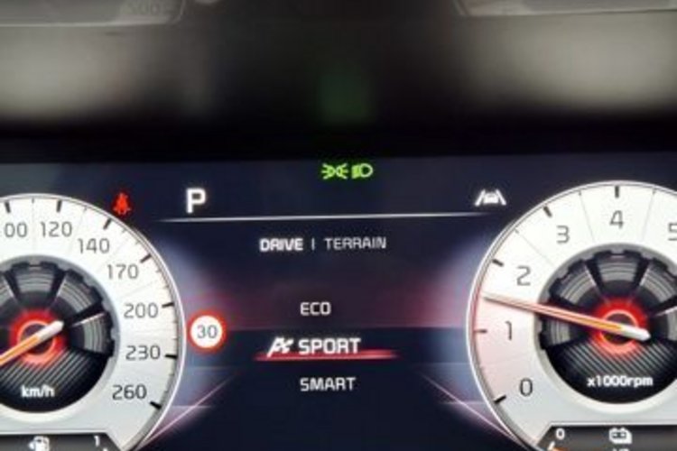 Kia Sorento Sorento Platinum 4WD Plug-In Hybrid PANO+AHK+360
