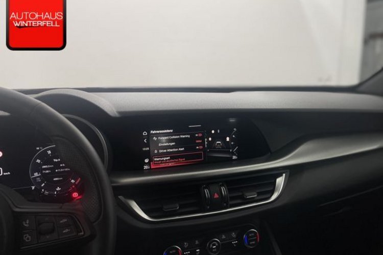 Alfa Romeo Stelvio Stelvio 2.0 Turbo Veloce Q4 ROSSO+SPECIALE+AHK+