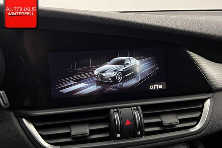 Alfa Romeo Giulia Giulia 2.0 Turbo Veloce Q4 SPECIALE+MEMO+ACC+